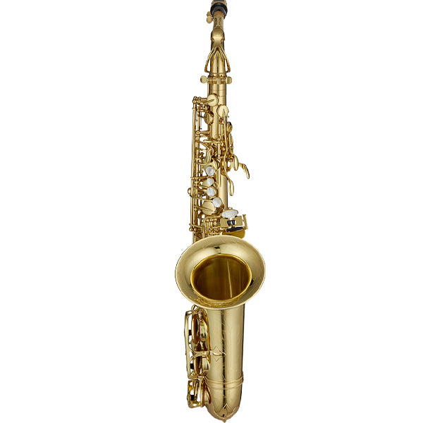 Antigua WAS4248AQ Powerbell Alto Saxophone Antigue Finish with Soft Bag (AS4248 AQ)