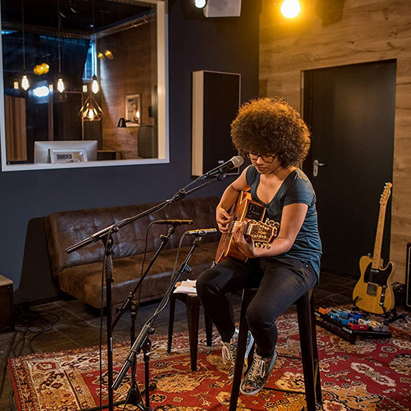 Beyerdynamic TG V35 s Supercardioid Dynamic Vocal Microphone with Switch, Mic Holder and & Storage Bag (TGV35 TGV35S)