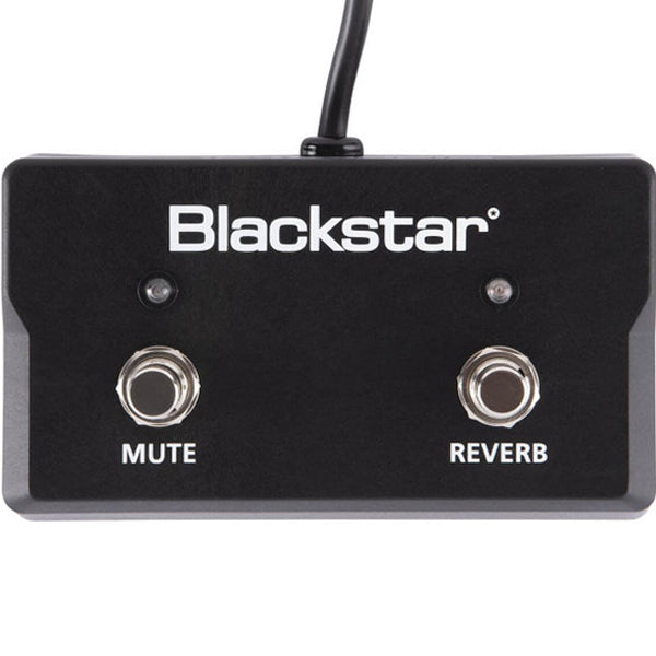 Blackstar PSU 500 9V Power Supply Adapter for Blackstar LT Series Effect Pedals (PSU-500 PSU500)