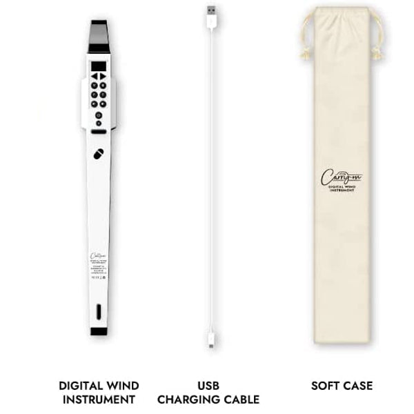 Blackstar Carry-On Digital Wind Instrument 10 Voices with Bluetooth and Rechargeable Battery