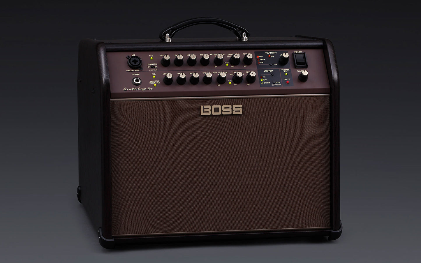 Boss ACS-PRO 120 Watt Acoustic Singer Pro Stage Amplifier Guitar Amp Speaker (ACS PRO)
