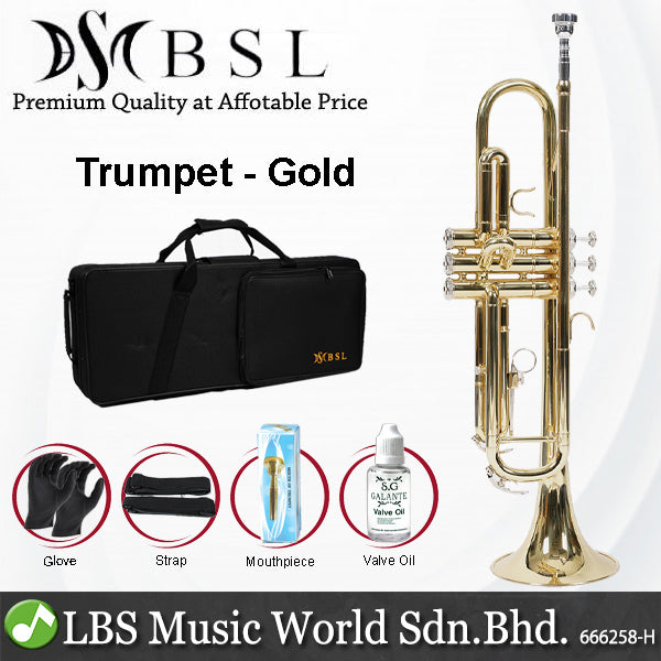 BSL Bb Trumpet Instrument B Flat Three Tone Gold Plated and Nickel for Beginner with Case