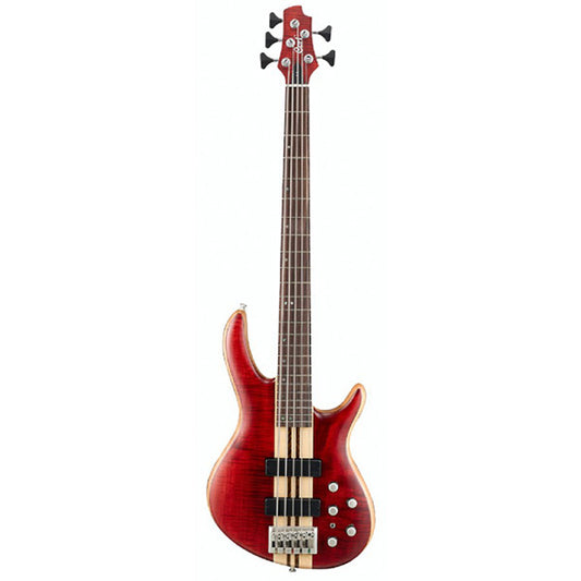 Cort A5 5 String Double Cutaway Neck Thru Figured Maple Top Open Pore Electric Bass Guitar (A 5)