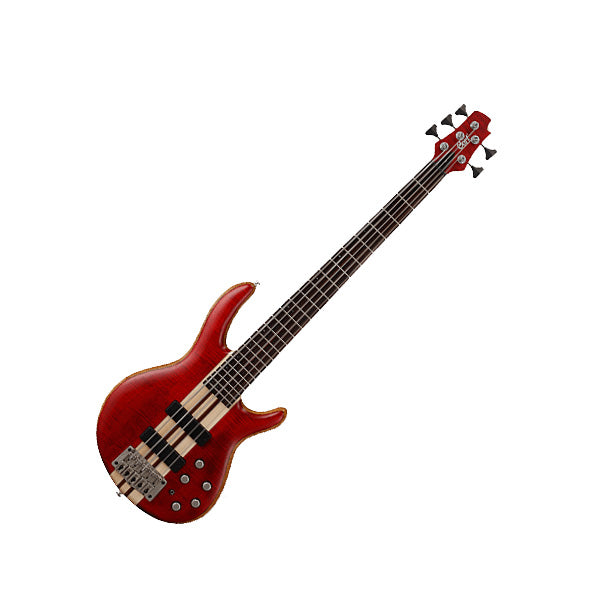 Cort A5 5 String Double Cutaway Neck Thru Figured Maple Top Open Pore Electric Bass Guitar (A 5)