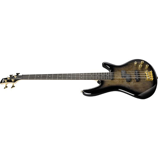 Ibanez GSR200PC Electric Bass Guitar with Purpleheart Fretboard - Transparent Pale Black Burst