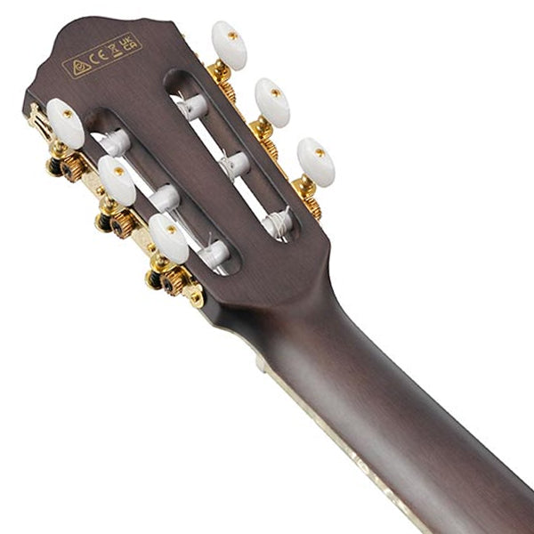 Ibanez TOD10N Solid Sitka Spruce Top FRH Body Acoustic Electric Guitar - Transparent Black