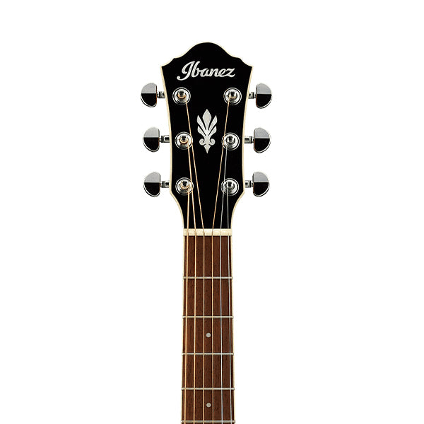 Ibanez AEG10II-NNB Body Spruce Top Acoustic Guitar Natural Brown High Gloss (AEG10II)