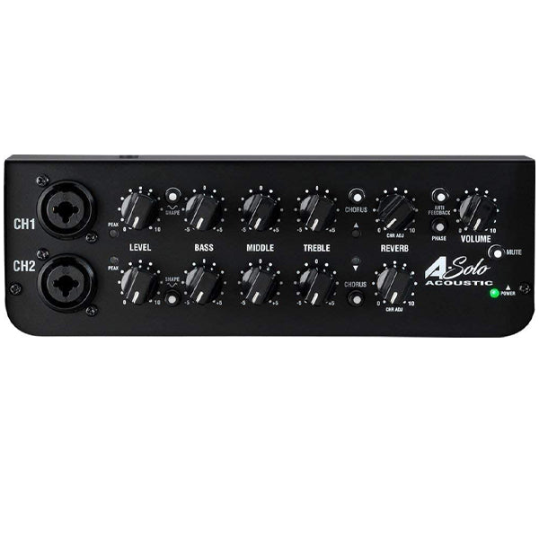 Laney A-SOLO 60 Watts 8 Inch Coaxial Woofer Speaker Amp Acoustic Combo Guitar Amplifier (A SOLO)