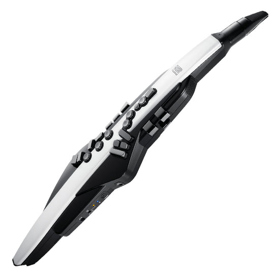 Roland Aerophone AE-20 Digital Wind Instrument with Bluetooth (AE20)