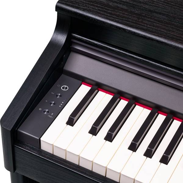 Roland RP-701 88 Key Digital Piano with Cover and Bluetooth - Contemporary Black Finish (RP701 RP 701)