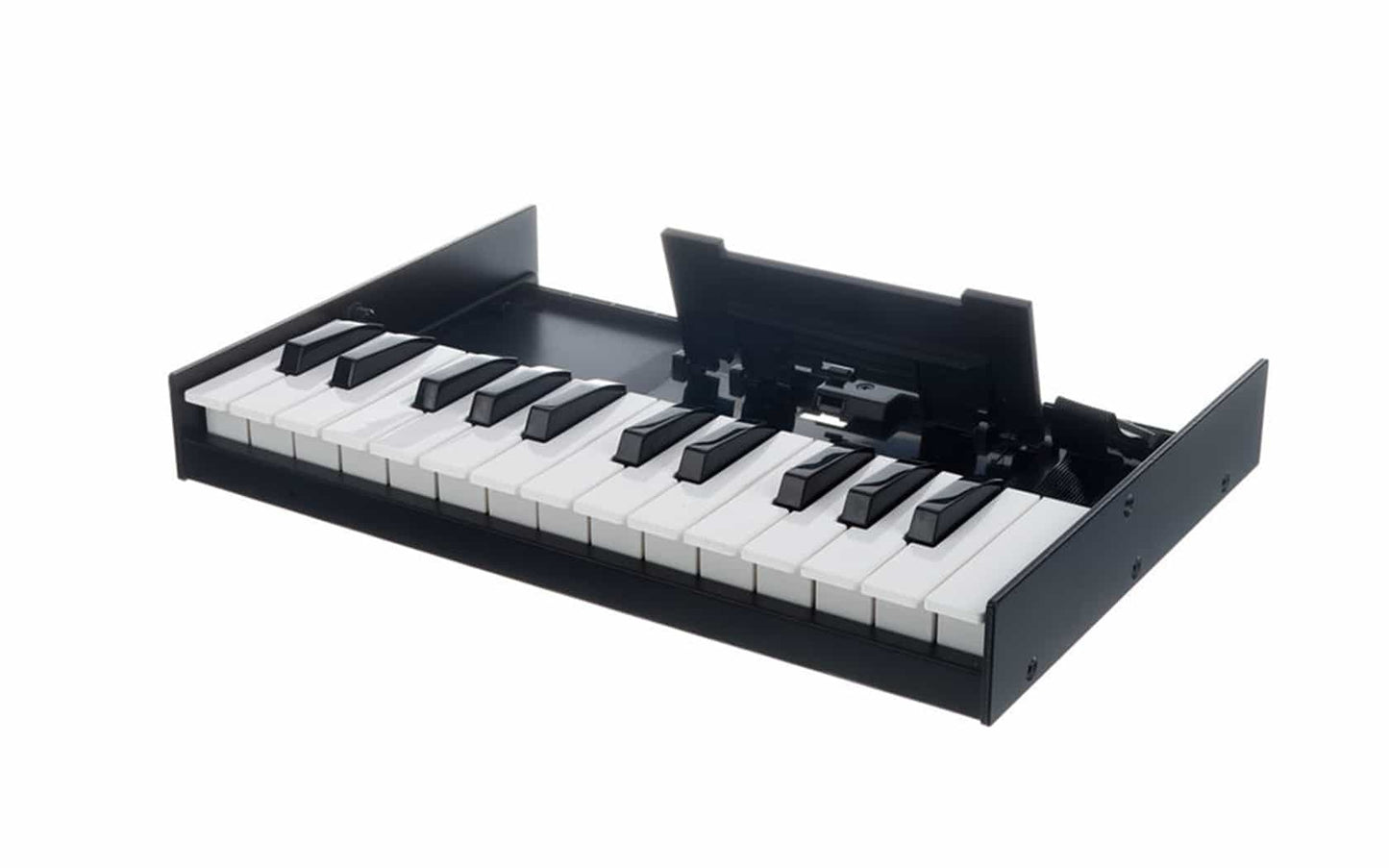 Roland K-25M 25 Key Boutique Series Portable Keyboard For Synth Module (K25M K25)