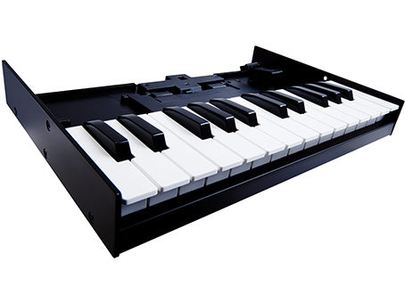 Roland A-01K Limited Edition Midi Controller Synthesizer with Bluetooth Control Black (A01K A01)