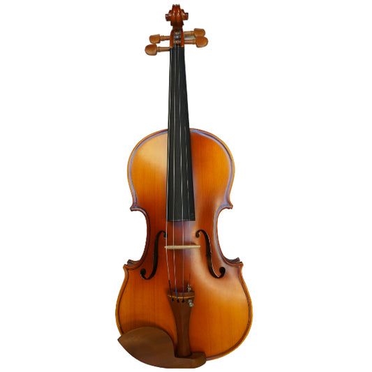 Spicato V301 4/4 Full Size Intermediate Violin Package with Case String Bow Rosin Mute Fingering Chart