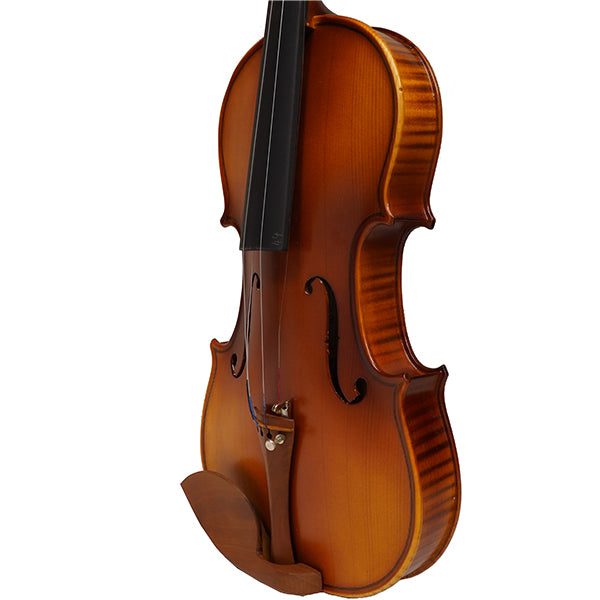 Spicato V301 4/4 Full Size Intermediate Violin Package with Case String Bow Rosin Mute Fingering Chart