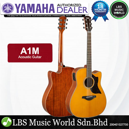 Yamaha A1M 41" Solid Sitka Spruce With Acoustic Electric Guitar With Pickup (A1 A 1M)