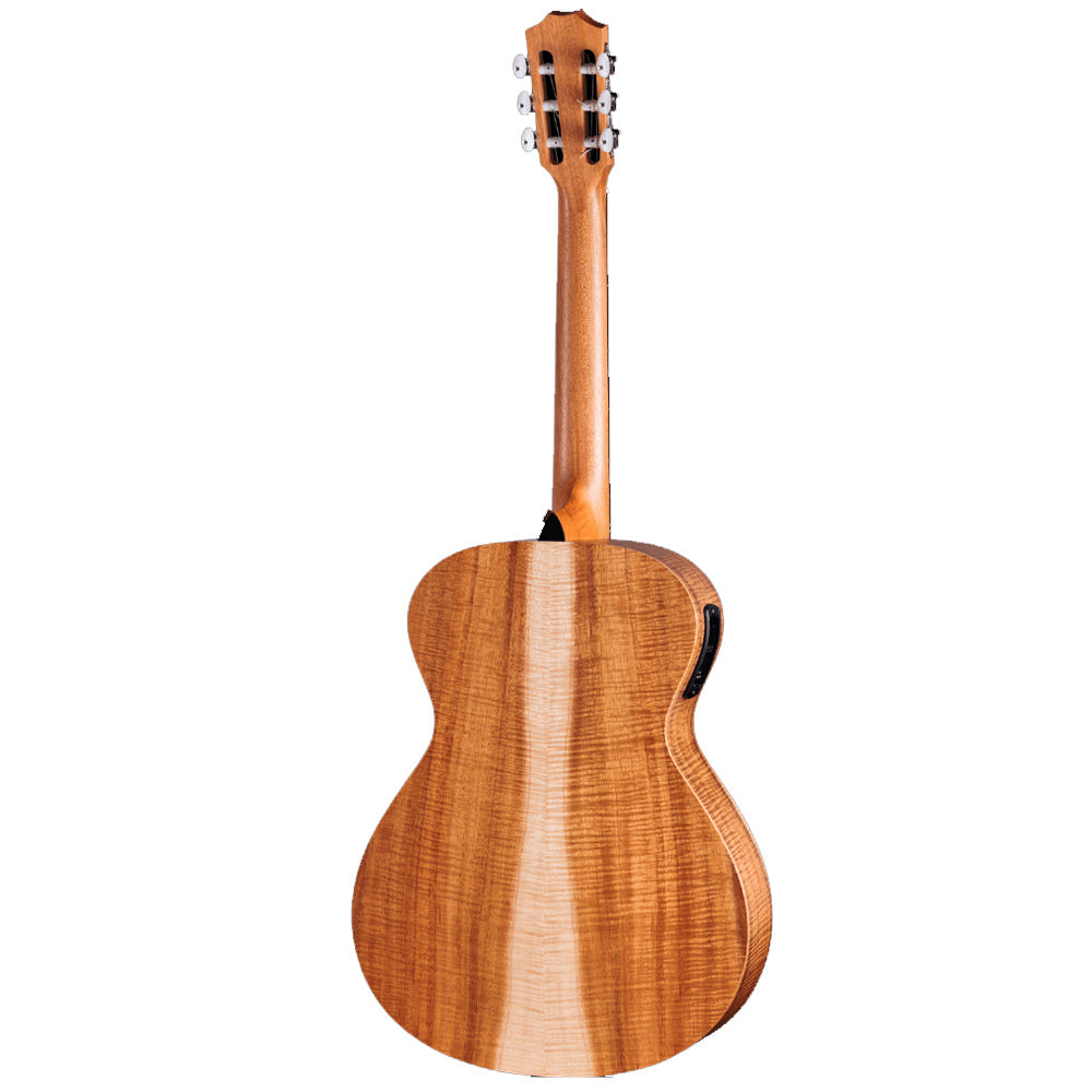 Taylor Academy 12e-N LTD 6 String Spruce Top Acoustic Electric Guitar (Academy 12eN 12 eN)