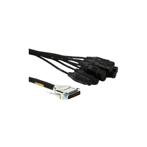 Snakes: XLR To DB25