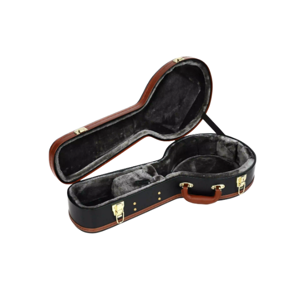 Mandolins Cases & Bags