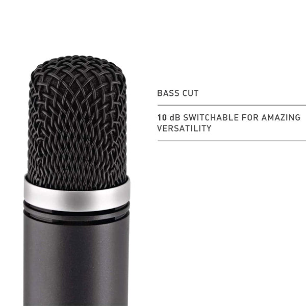 AKG C1000 S Pro Audio MK4 Small Diaphragm Condenser Microphone (C 1000 S  C1000S Mic)