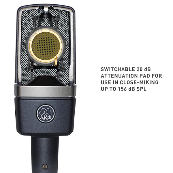 AKG C214 Pro Audio Mic Large Diaphragm Condenser Microphone (C-214  C 214)