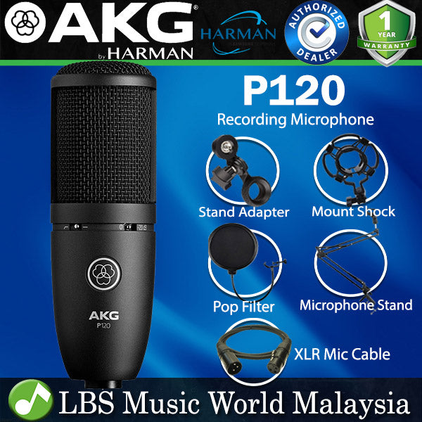 AKG P120 Large Diaphragm Condenser Microphone with Cardioid Polar Mic Pattern (P-120 P 120)