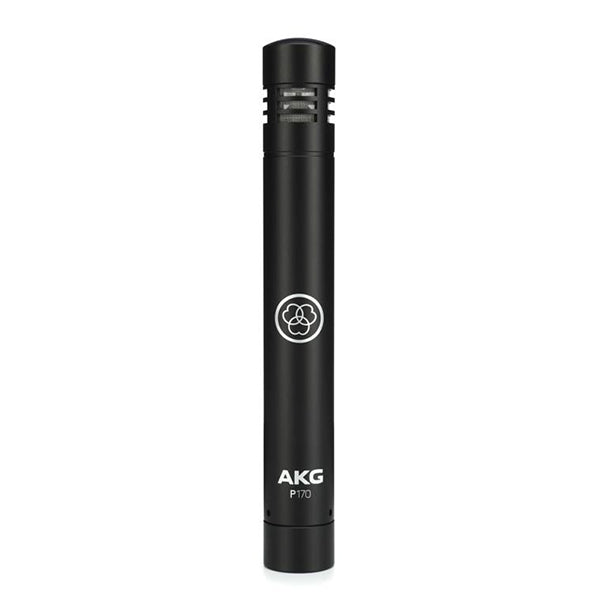 AKG P170 High Performance Instrument Small Diaphragm Condenser Microphone (P 170 P-170 Mic)