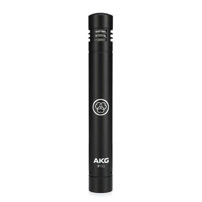 AKG P170 High Performance Instrument Small Diaphragm Condenser Microphone (P 170 P-170 Mic)