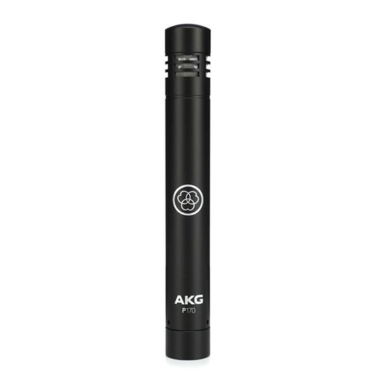 AKG P170 High Performance Instrument Small Diaphragm Condenser Microphone (P 170 P-170 Mic)