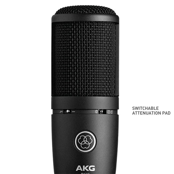 AKG P120 Large Diaphragm Condenser Microphone with Cardioid Polar Mic Pattern (P-120 P 120)