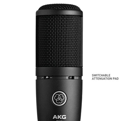 AKG P120 Large Diaphragm Condenser Microphone with Cardioid Polar Mic Pattern (P-120 P 120)