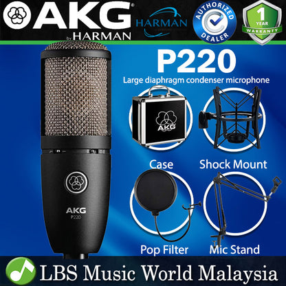 AKG P220 Pro Audio Large Diaphragm Condenser Microphone (P-220 P 220 Mic)