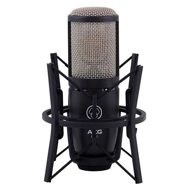 AKG P220 Pro Audio Large Diaphragm Condenser Microphone (P-220 P 220 Mic)