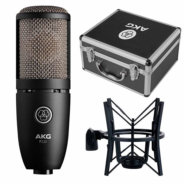 AKG P220 Pro Audio Large Diaphragm Condenser Microphone (P-220 P 220 Mic)