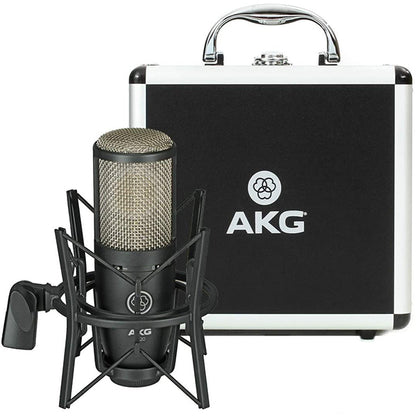 AKG P220 Pro Audio Large Diaphragm Condenser Microphone (P-220 P 220 Mic)