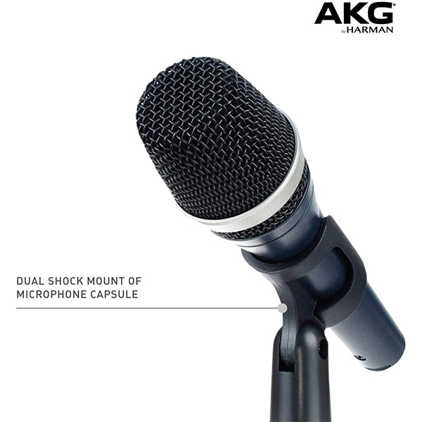 AKG D5 Professional Dynamic Supercardioid Vocal Microphone with Mic Clip and Bag (D 5)