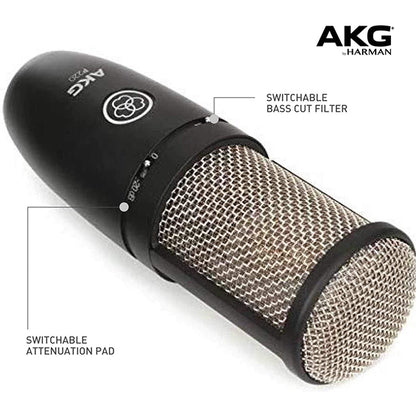 AKG P220 Pro Audio Large Diaphragm Condenser Microphone (P-220 P 220 Mic)