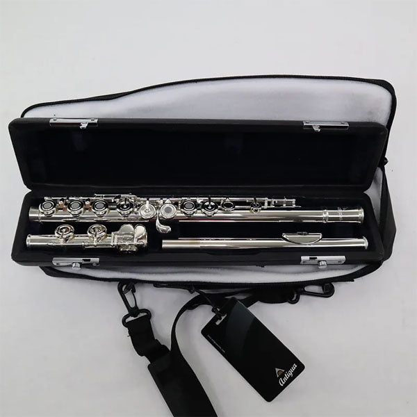 Antigua FL3410 Vosi Beginner C Key Silver Open Hole Flute with Case (FL 3410)