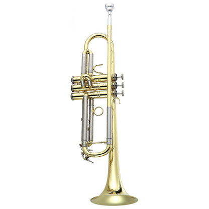 Antigua TR3580LQ Bb Trumpet Yellow Brass Lacquer Finish with Case (TR3580)