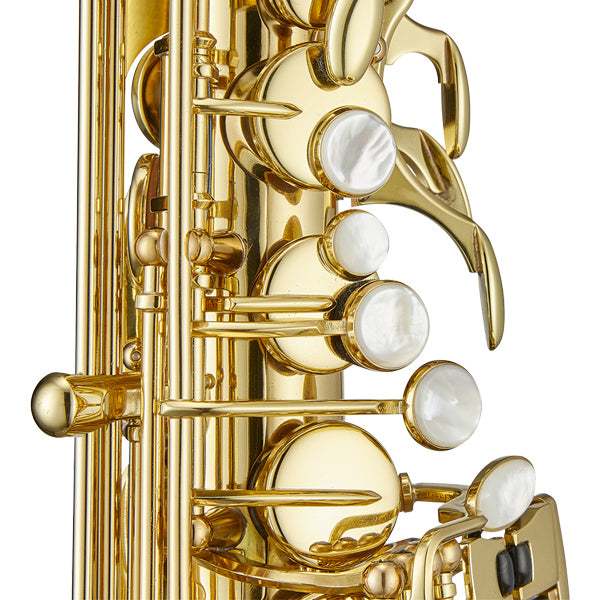 Antigua WAS4248AQ Powerbell Alto Saxophone Antigue Finish with Soft Bag (AS4248 AQ)