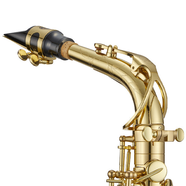 Antigua WAS4248AQ Powerbell Alto Saxophone Antigue Finish with Soft Bag (AS4248 AQ)