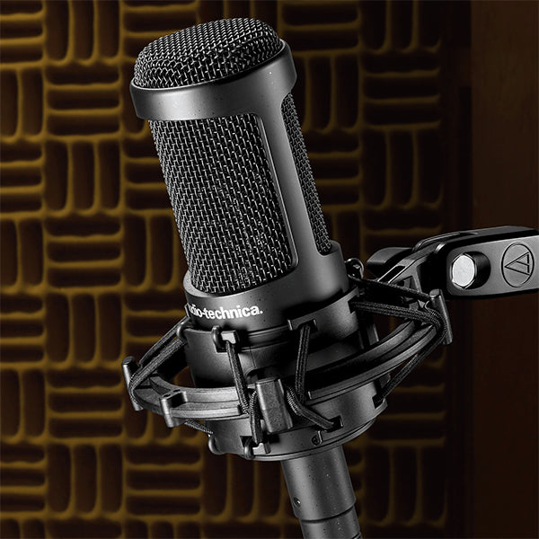 Audio Technica AT2050 Condenser Microphone with Multi Pattern Studio Mic (AT-2050 AT 2050)