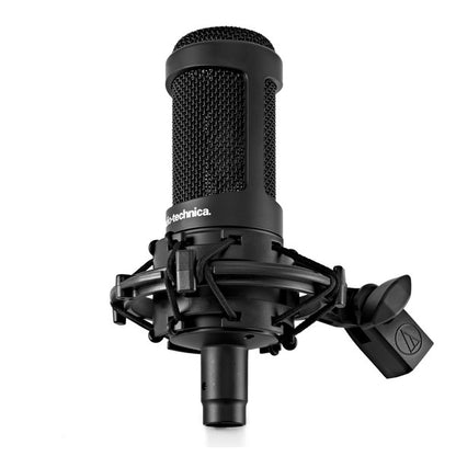 Audio Technica AT2035 Cardiod Condenser Microphone Basic Package Mic Only (AT 2035)