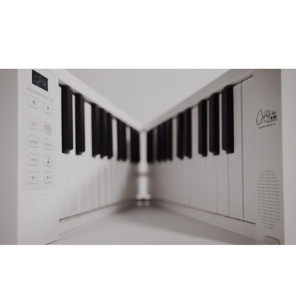 Blackstar Carry-On FP49 Compact 49 Keys Digital Folding Piano Keyboard with Built-in USB Rechargeable Battery (FP 49)