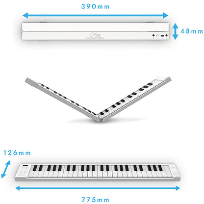 Blackstar Carry-On FP49 Compact 49 Keys Digital Folding Piano Keyboard with Built-in USB Rechargeable Battery (FP 49)