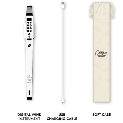 Blackstar Carry-On Digital Wind Instrument 10 Voices with Bluetooth and Rechargeable Battery