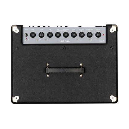 Blackstar Unity Bass 250 Watt Active Extension XLR Closed Back Speaker Cabinet (U250)