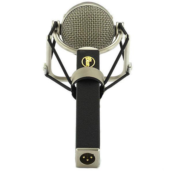 Blue Microphones Dragonfly Large-diaphragm Condenser Microphone Mic