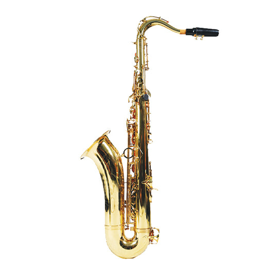 BSL Tenor Saxophone B Flat Electrophoresis Gold Double Key Wind Instrument with Case