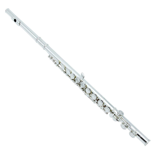 BSL Flute C Key for Beginner Student with Case and Acessories - Nickel / Silver