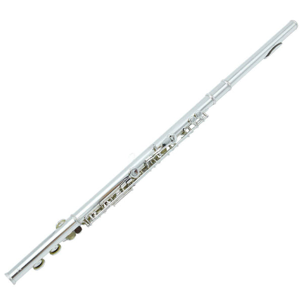 BSL Flute C Key for Beginner Student with Case and Acessories - Nickel / Silver